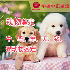 太原动物鉴定